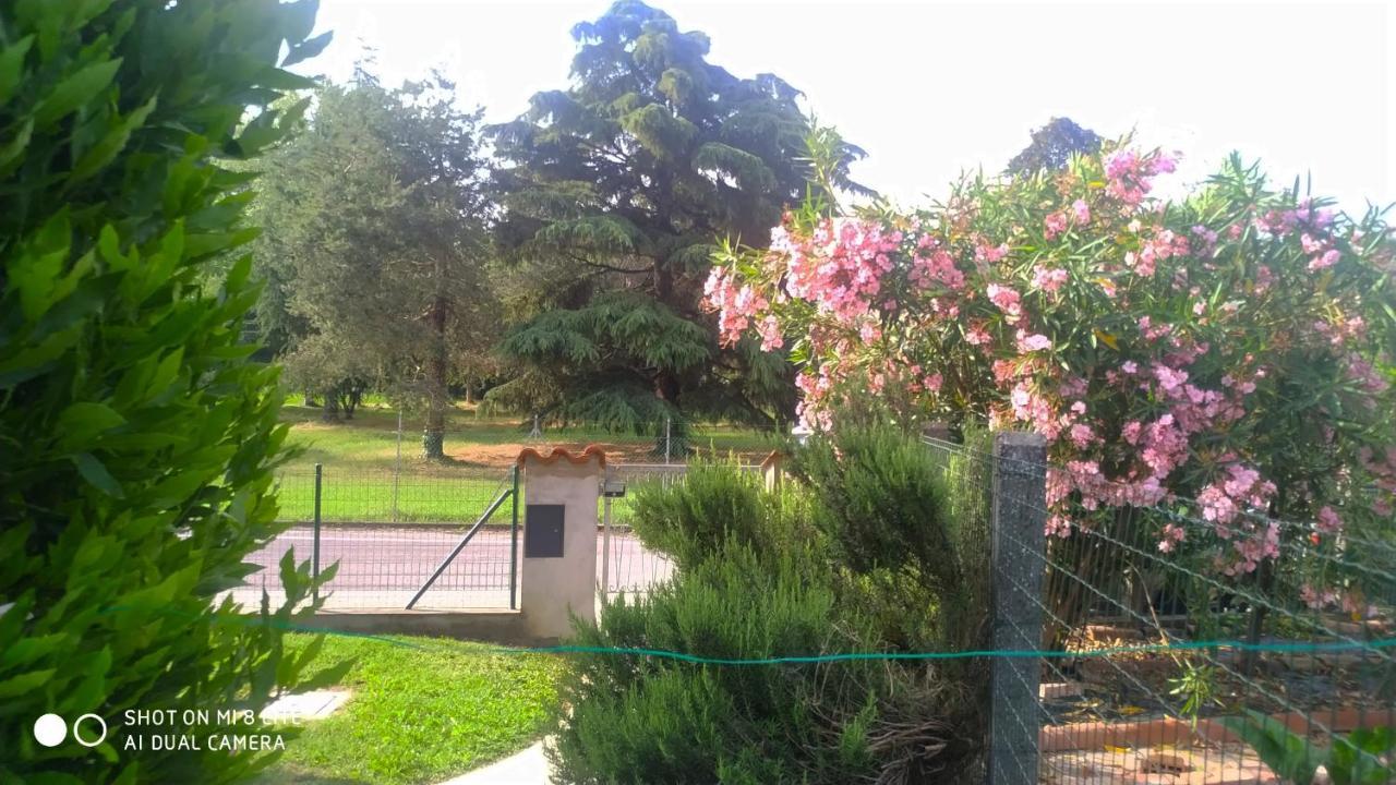 Il Tempo Dei Sogni Appartement San Benedetto Po Buitenkant foto